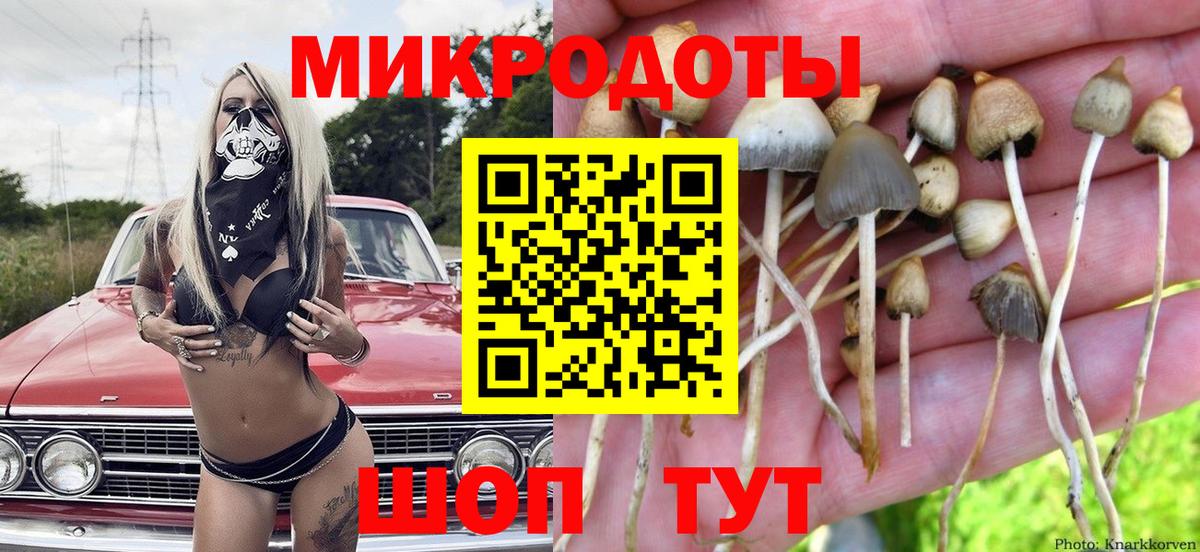 Псилоцибиновые грибы ЛСД Видное