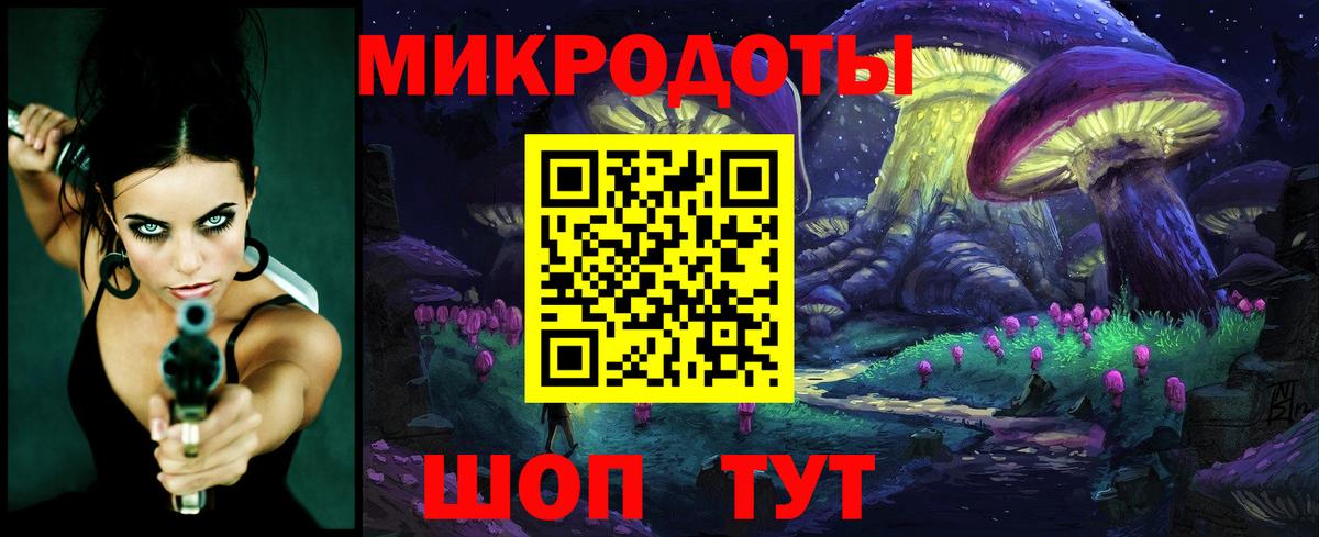 Видное  закладка  Вход с VPN  Псилоцибиновые грибы Psilocybine cubensis 