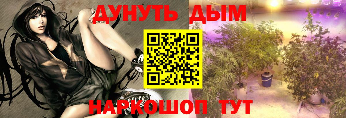 Видное  Шишки марихуана конопля  Марихуана MAZAR  Вход с VPN  Каннабис ГИДРОПОН 